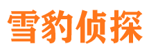 庆安侦探公司